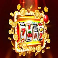 newbet