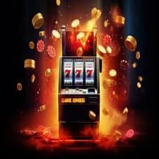 newbet